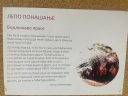 Међународни дан толеранције 2025,