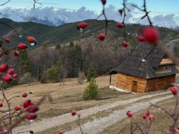 Корак за будућност – Одржива настава, оснаживање и партиципација