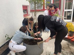 Акција садње 2026.