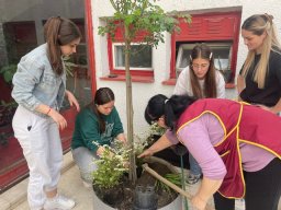 Акција садње 2026.