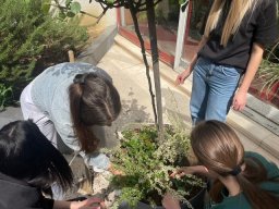 Акција садње 2026.