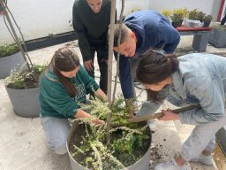 Акција садње 2026.